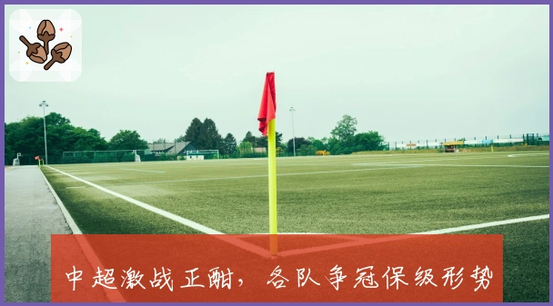 中超激战正酣，各队争冠保级形势愈演愈烈